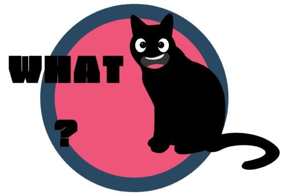 Cat What Funny Black Cat Shirt Embroidery Review