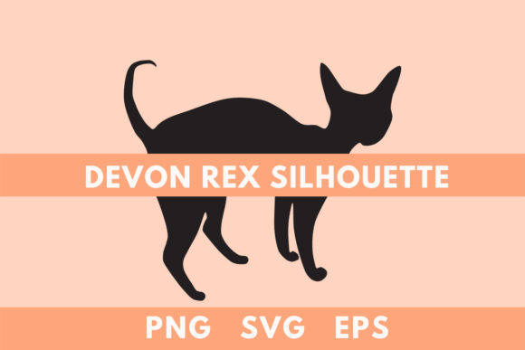 Devon Rex Cat Silhouette Review for Embroidery Projects