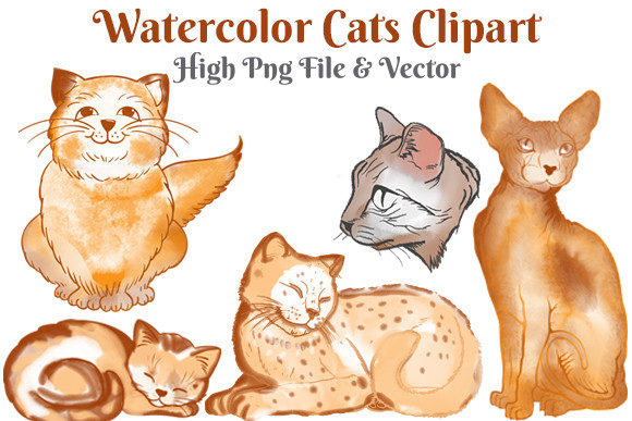 Watercolor Animal Cat Embroidery Design Review